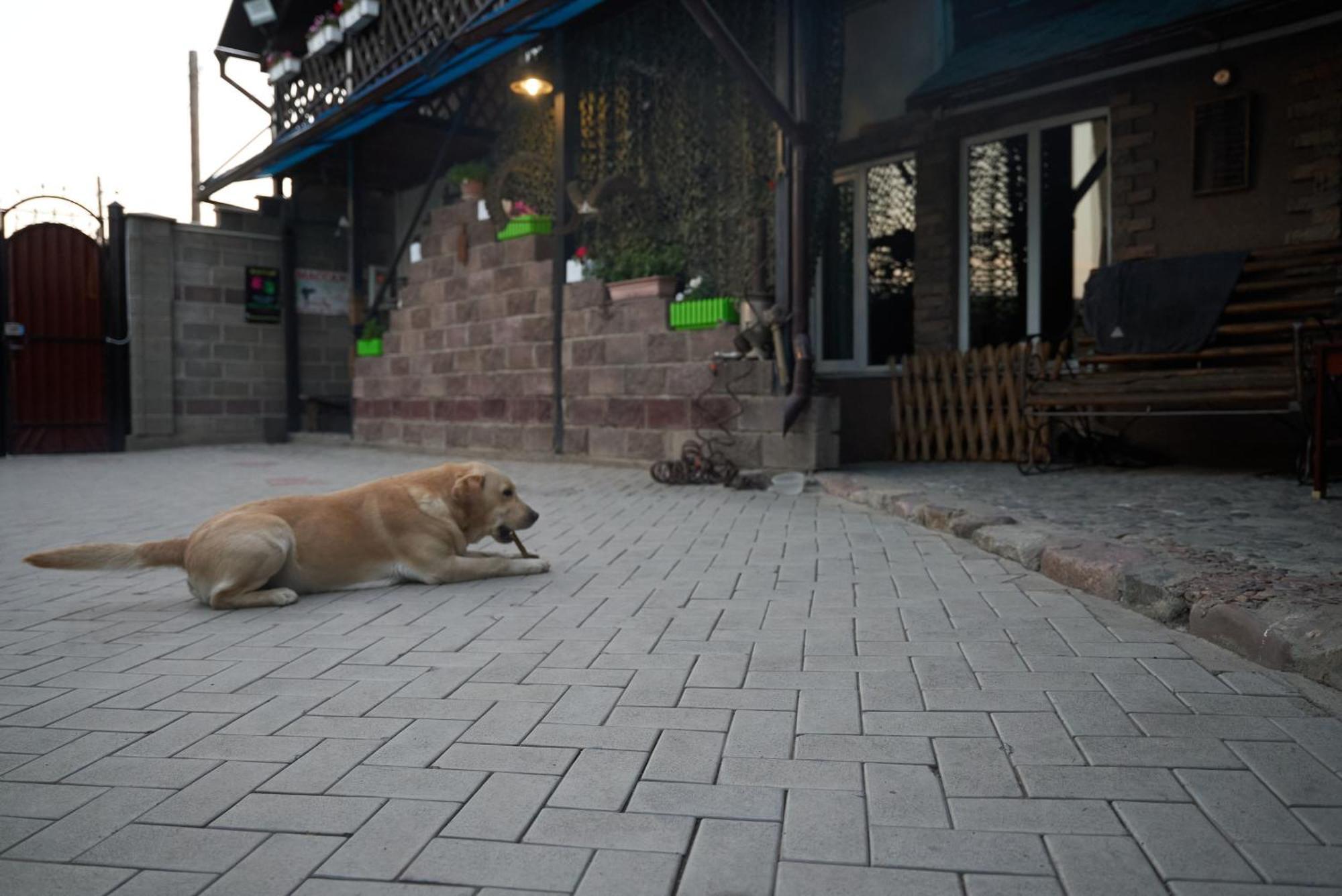 Argo Guest House Karakol Exterior photo